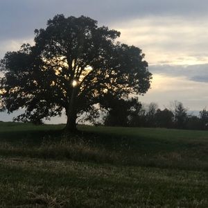 Meet your Posher, Peggy